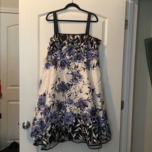 Dress Barn Gorgeous dress with mesh ruffle!